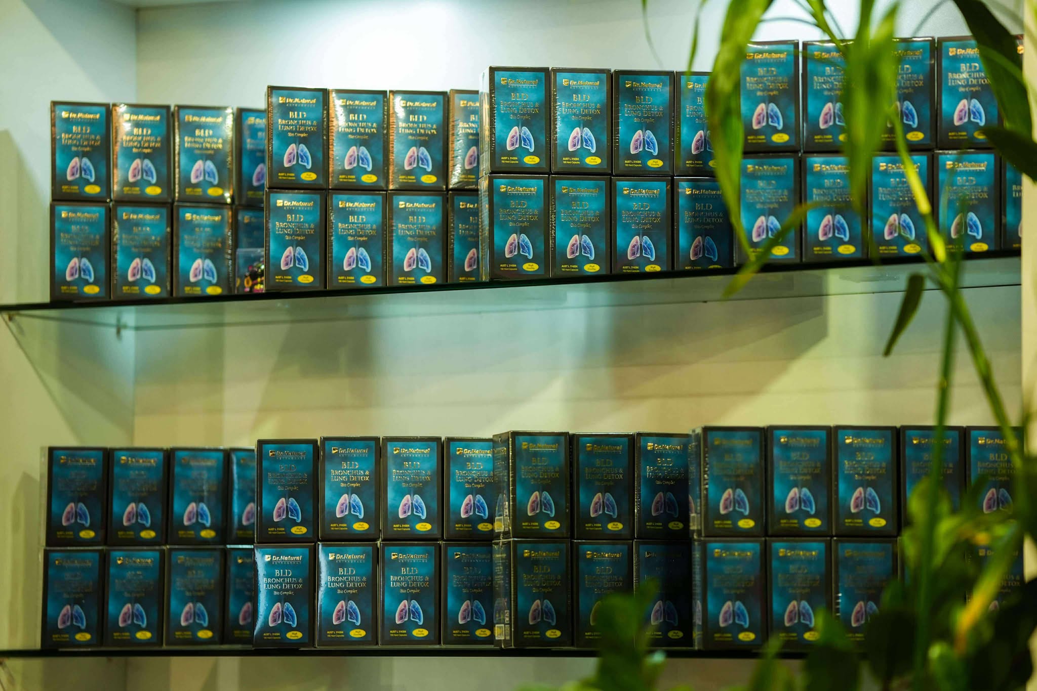 558036168_1121479276636552_1407023024270917407_n