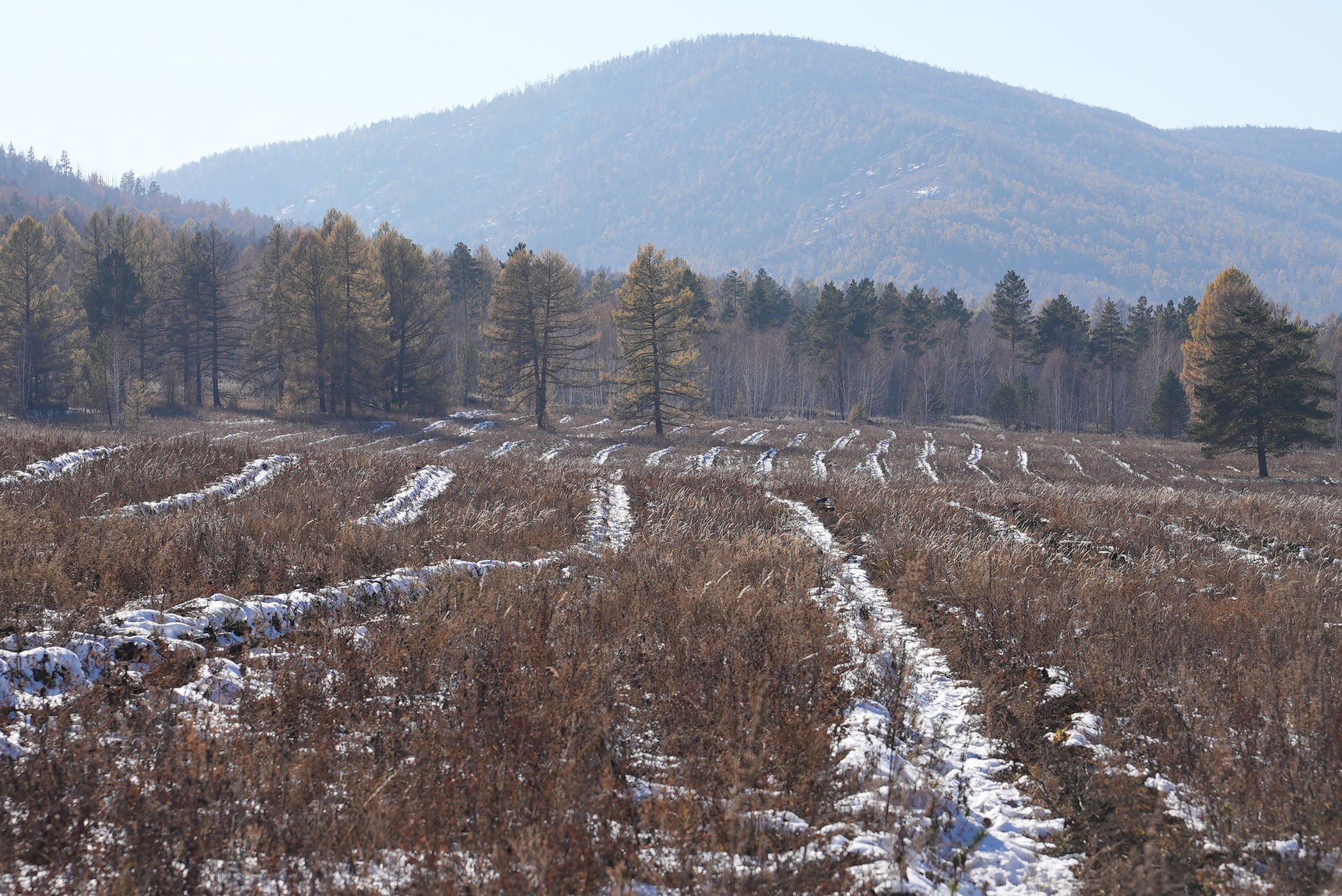 selenge_altanbulag_251117