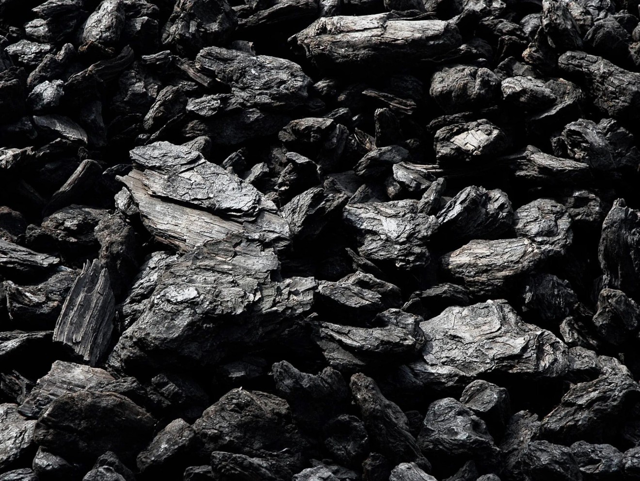 ЭТТ 20 сая дахь тонн нүүрсээ борлуулж, түүхэн амжилтаа ахиулав